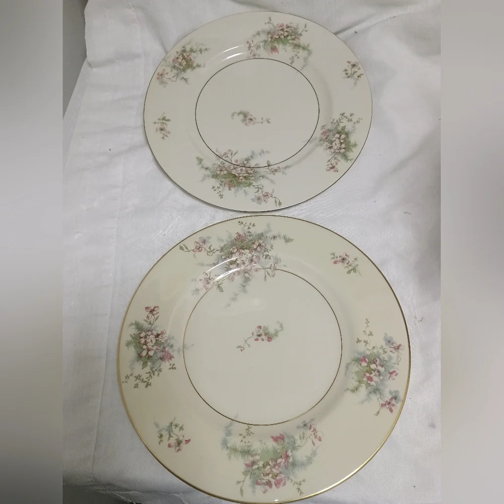 Pair Of Theodore Haviland New York dinner plates. Apple Blossom pattern - Picture 2 of 9